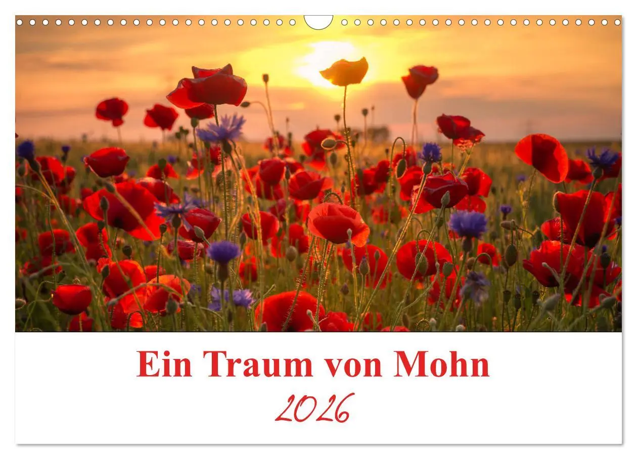 Cover: 9783457785386 | Ein Traum von Mohn (Wandkalender 2026 DIN A3 quer), CALVENDO...