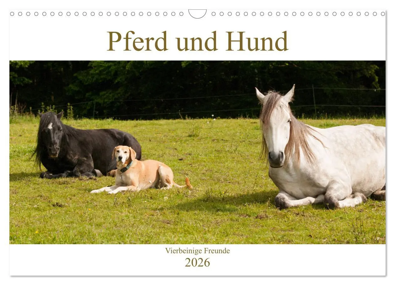 Cover: 9783457925386 | Pferd und Hund - Vierbeinige Freunde (Wandkalender 2026 DIN A3...