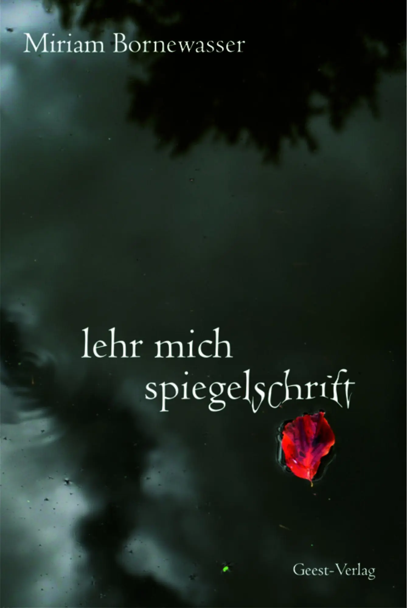 lehr mich spiegelschrift
