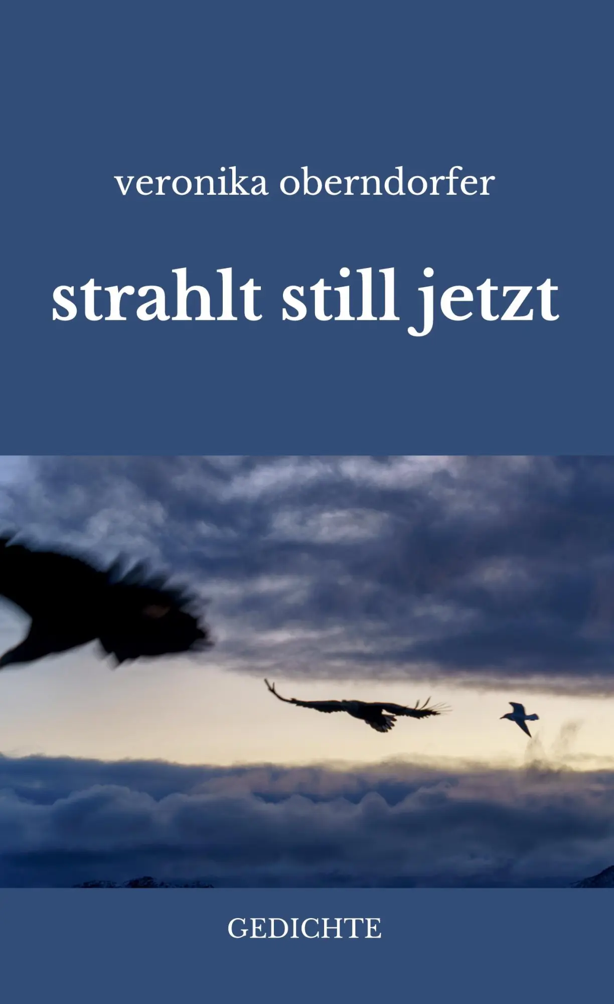 Cover: 9783696375386 | strahlt still jetzt | gedichte | Veronika Oberndorfer | Buch | 76 S.