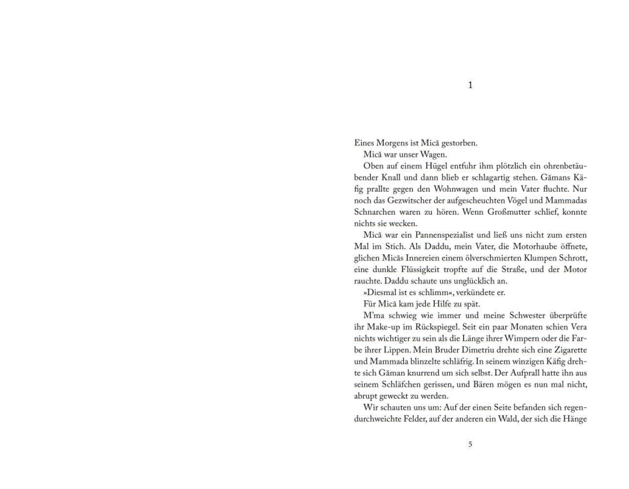 Bild: 9783957285386 | Der Sohn des Ursars | Xavier-Laurent Petit | Buch | 224 S. | Deutsch
