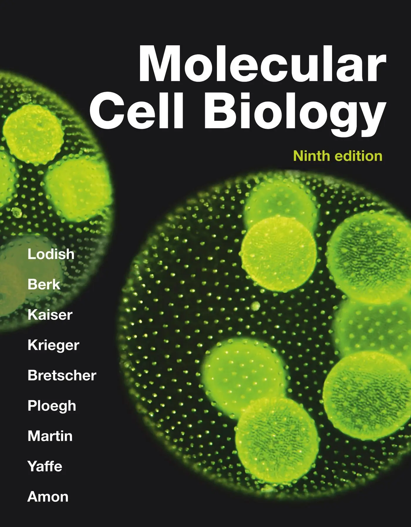 Cover: 9781319365486 | Molecular Cell Biology (International Edition) | Harvey Lodish (u. a.)