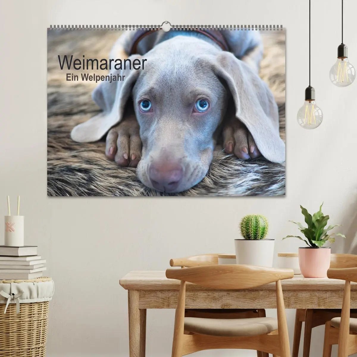Bild: 9783457845486 | Weimaraner - Ein Welpenjahr (Wandkalender 2026 DIN A2 quer),...