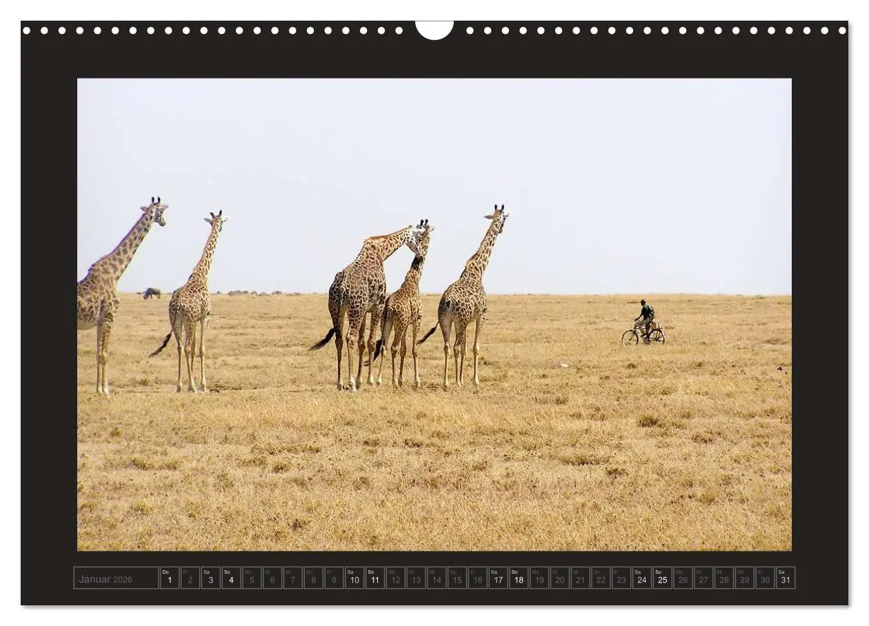 Bild: 9783516175486 | Kenia (Wandkalender 2026 DIN A3 quer), CALVENDO Monatskalender | 2026