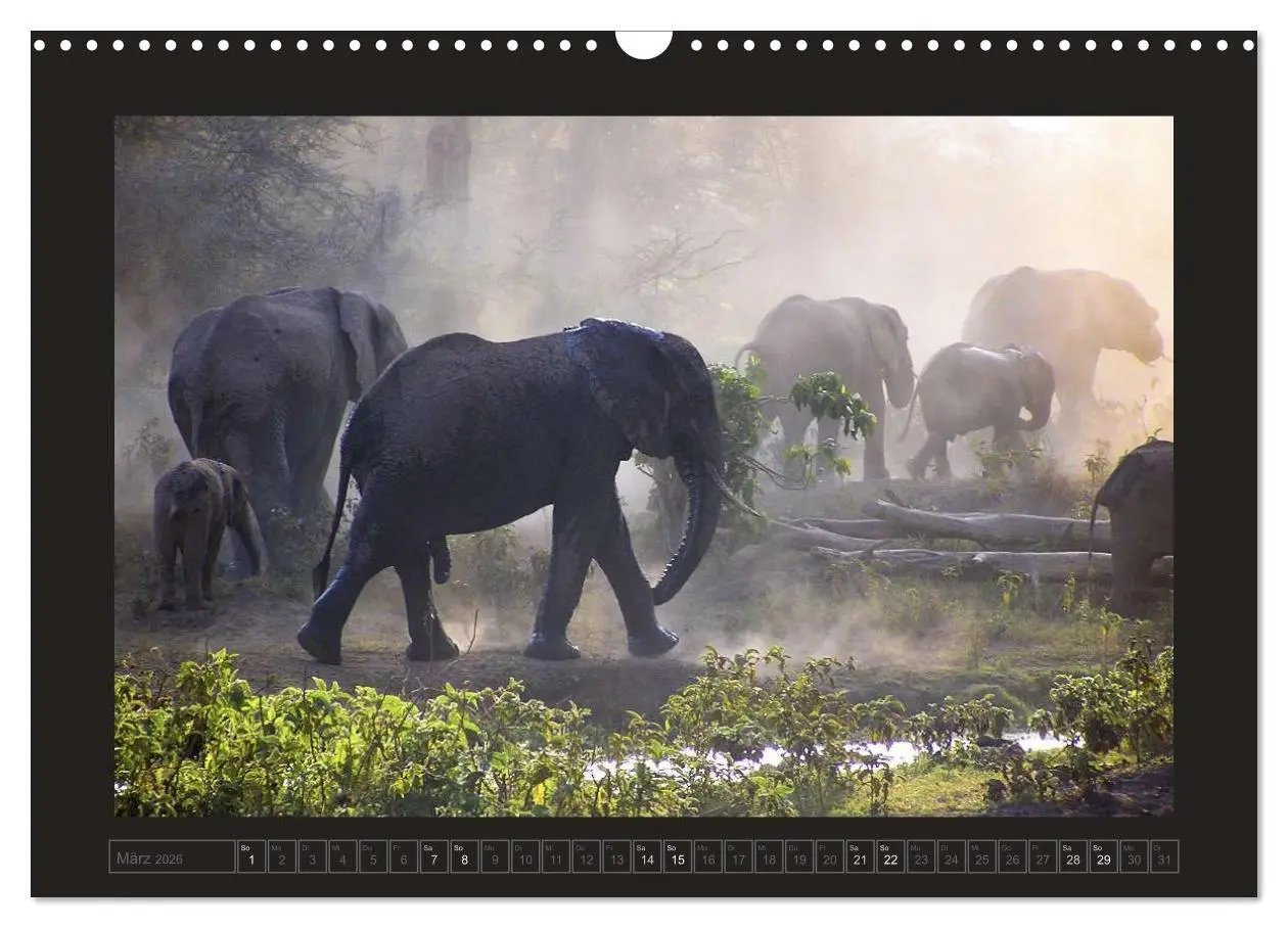 Bild: 9783516175486 | Kenia (Wandkalender 2026 DIN A3 quer), CALVENDO Monatskalender | 2026