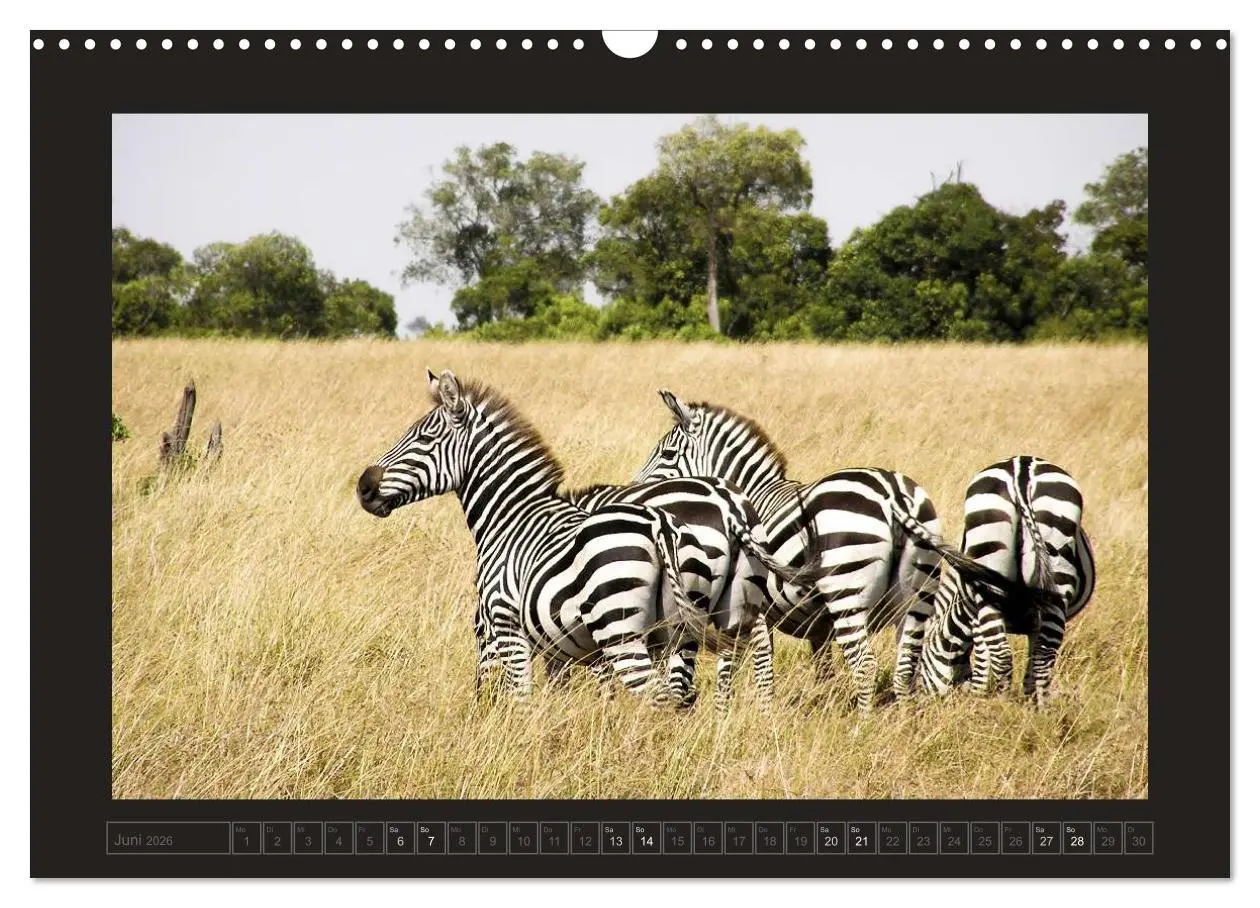 Bild: 9783516175486 | Kenia (Wandkalender 2026 DIN A3 quer), CALVENDO Monatskalender | 2026