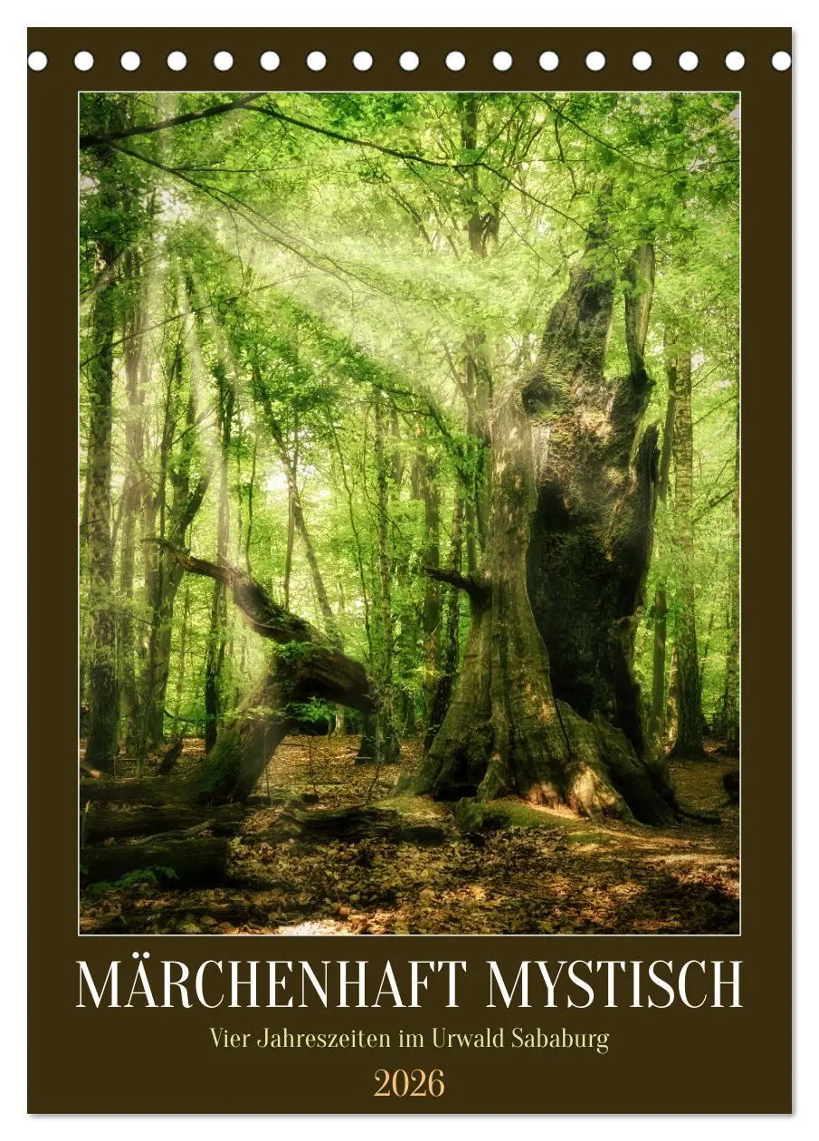 Cover: 9783516315486 | Märchenhaft mystisch (Tischkalender 2026 DIN A5 hoch), CALVENDO...