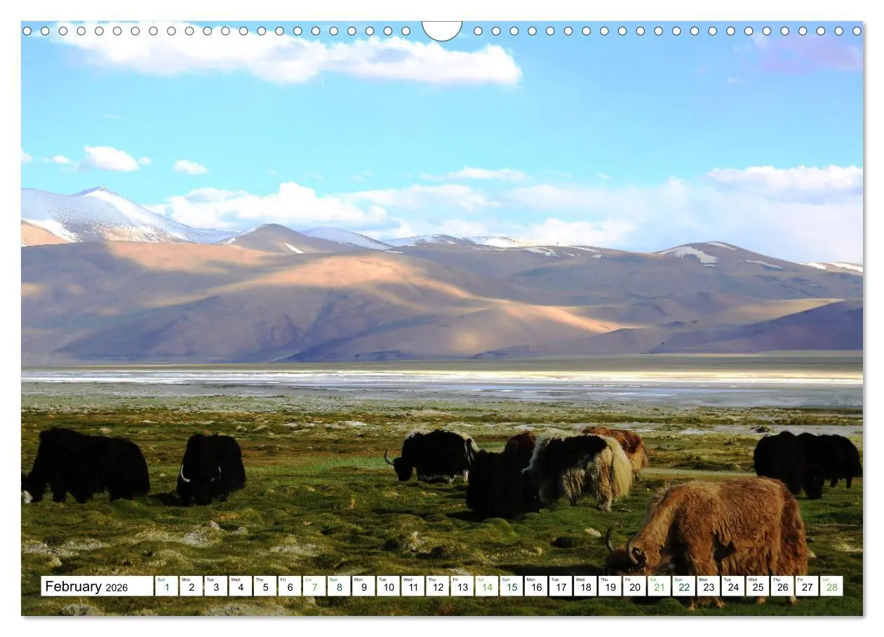 Bild: 9783516555486 | Leh And Ladakh Beautiful Glimpses (Wall Calendar 2026 DIN A3...