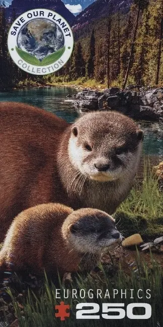Cover: 628136555586 | Otter (Puzzle) | Spiel | In Spielebox | 8251-5558 | 2021