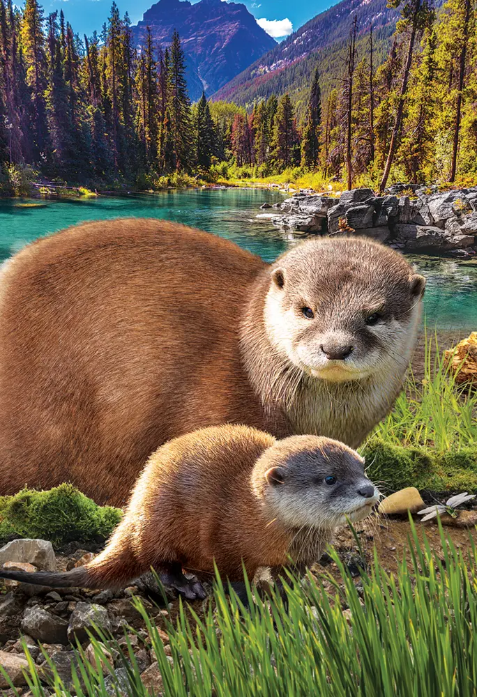 Bild: 628136555586 | Otter (Puzzle) | Spiel | In Spielebox | 8251-5558 | 2021
