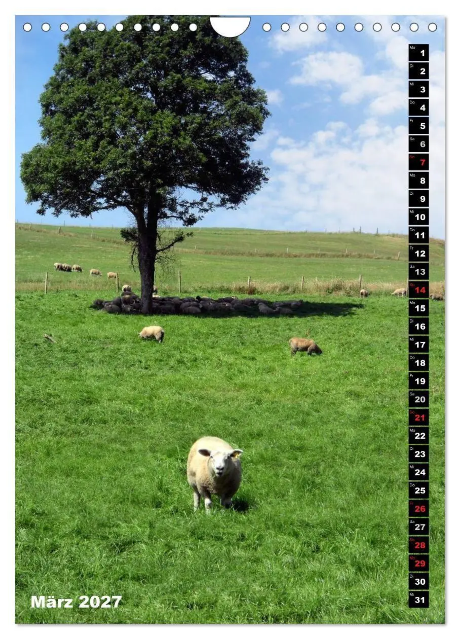 Bild: 9783594215586 | Traumhaftes Irland (Wandkalender 2027 DIN A4 hoch), CALVENDO...