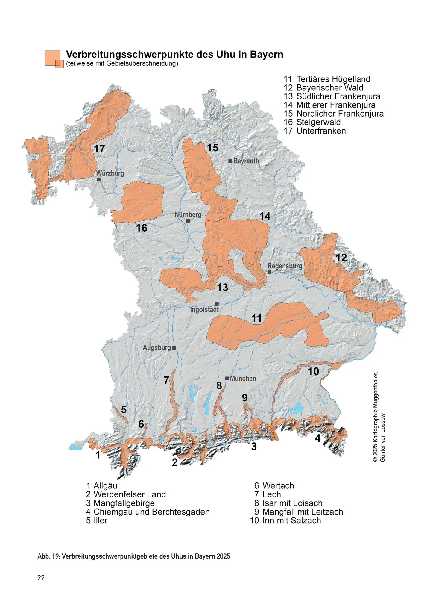 Bild: 9783892515586 | Der Uhu in Bayern | Rückkehr eines Ureinwohners | Lossow (u. a.)