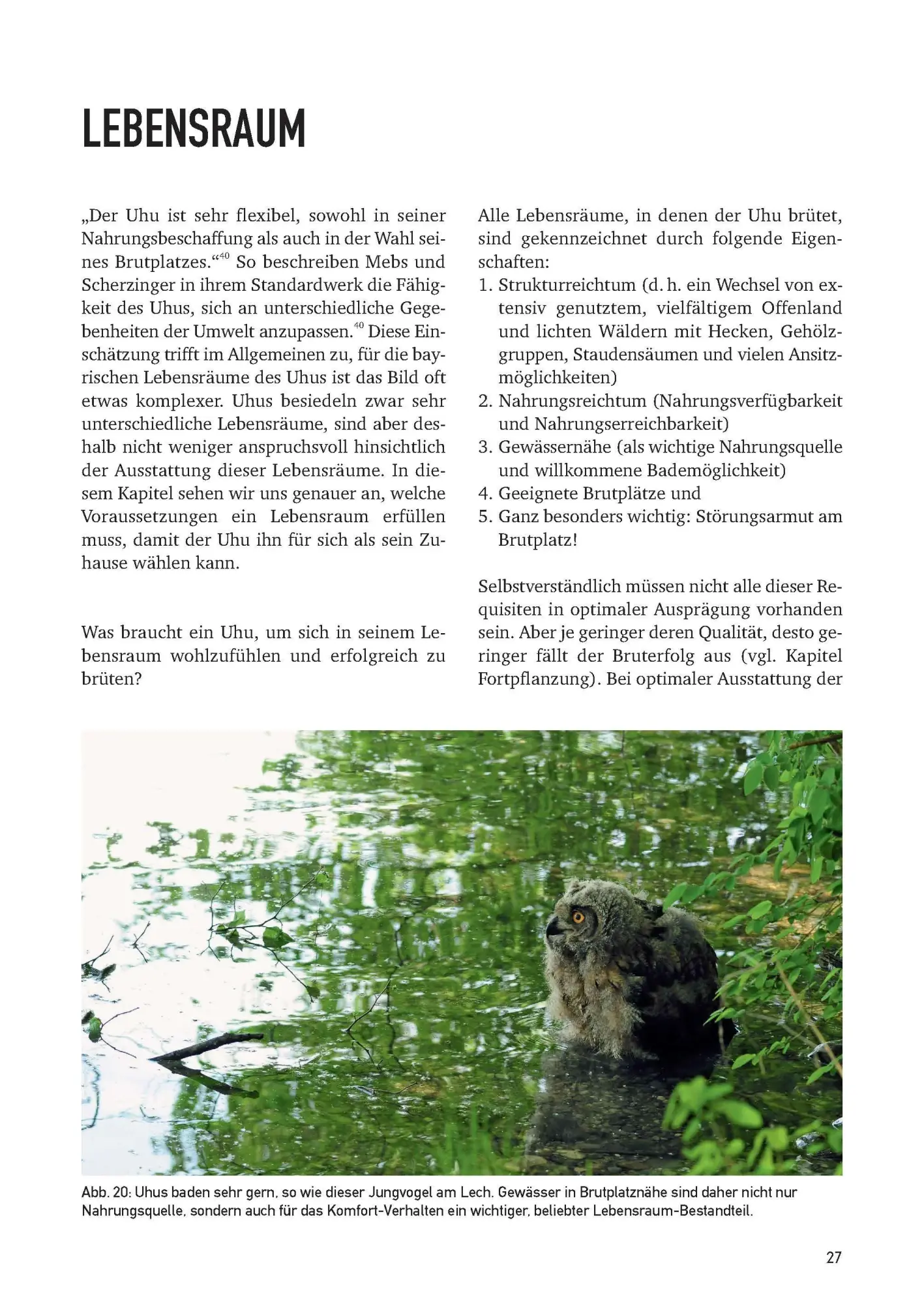Bild: 9783892515586 | Der Uhu in Bayern | Rückkehr eines Ureinwohners | Lossow (u. a.)