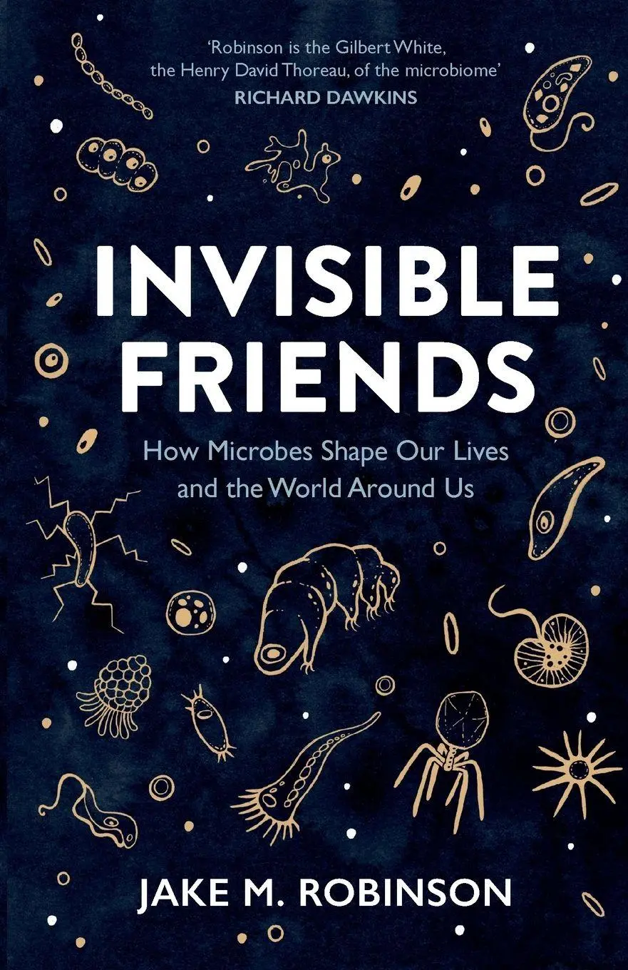 Cover: 9781784275686 | Invisible Friends | Jake Robinson | Taschenbuch | Englisch | 2025