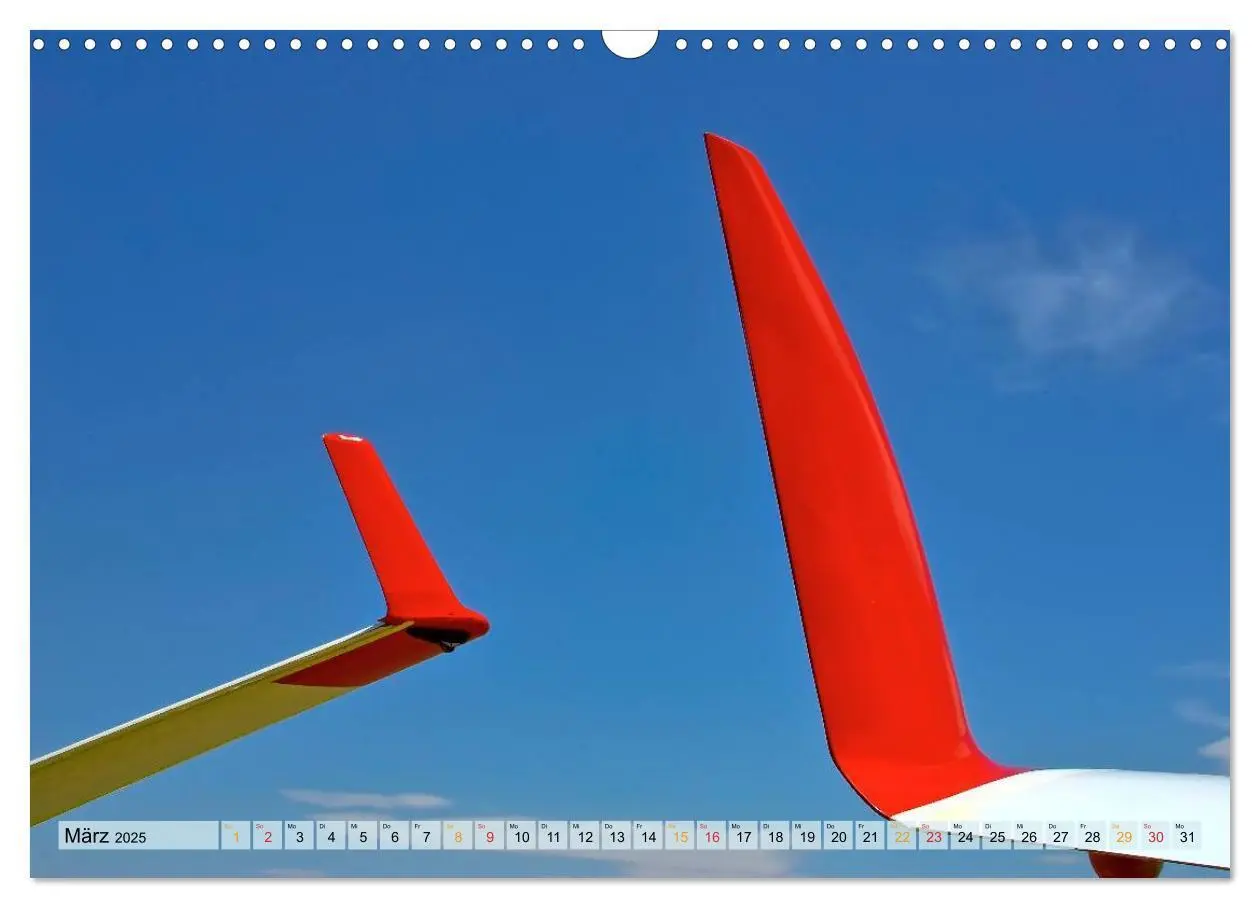 Bild: 9783435595686 | Segelfliegen - wie ein Vogel (Wandkalender 2025 DIN A3 quer),...