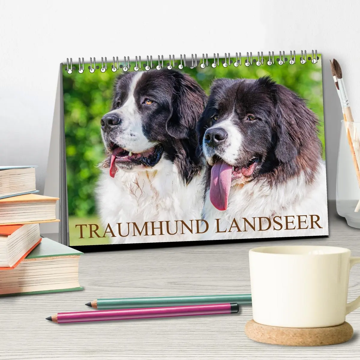Bild: 9783457515686 | Traumhund Landseer (Tischkalender 2026 DIN A5 quer), CALVENDO...