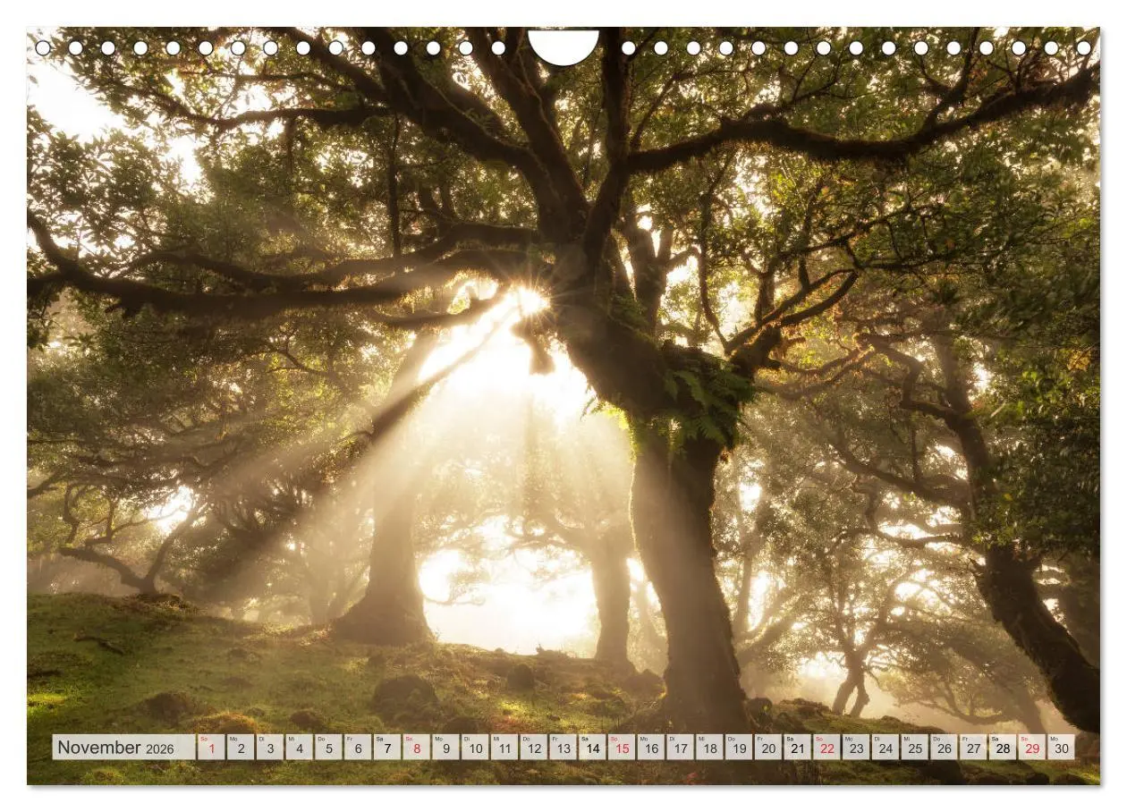 Bild: 9783457825686 | Madeira - eine Rundreise (Wandkalender 2026 DIN A4 quer), CALVENDO...