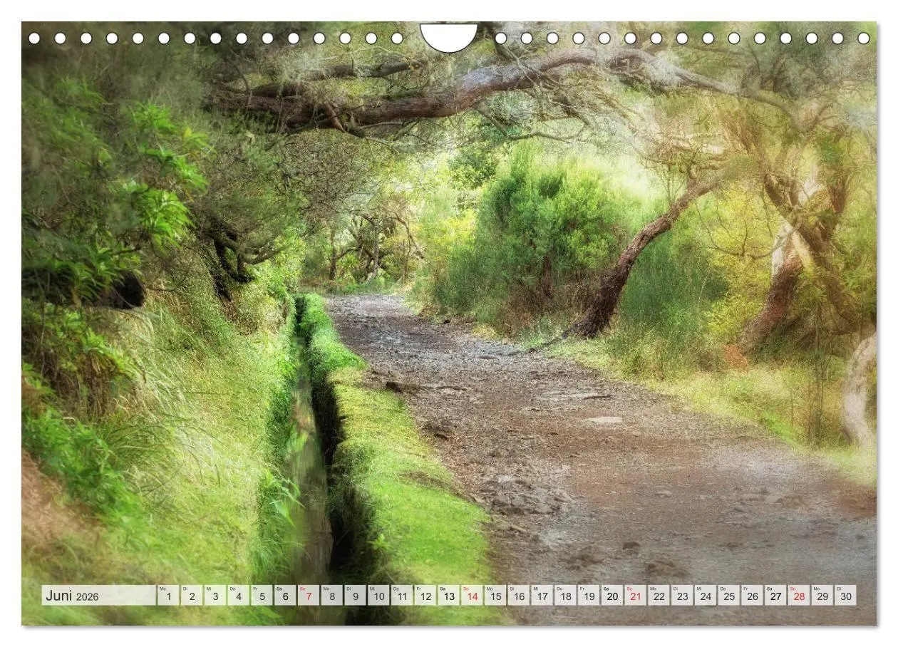 Bild: 9783457825686 | Madeira - eine Rundreise (Wandkalender 2026 DIN A4 quer), CALVENDO...