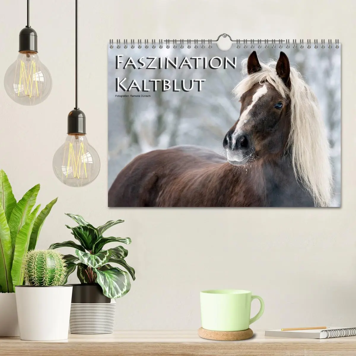 Bild: 9783516155686 | Faszination Kaltblut (Wandkalender 2026 DIN A4 quer), CALVENDO...