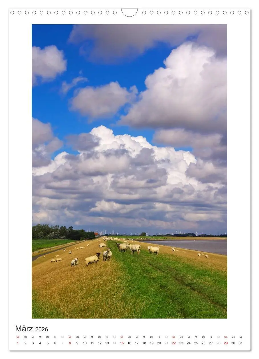 Bild: 9783516455786 | Büsum - Impressionen eines Sommers (Wandkalender 2026 DIN A3 hoch),...