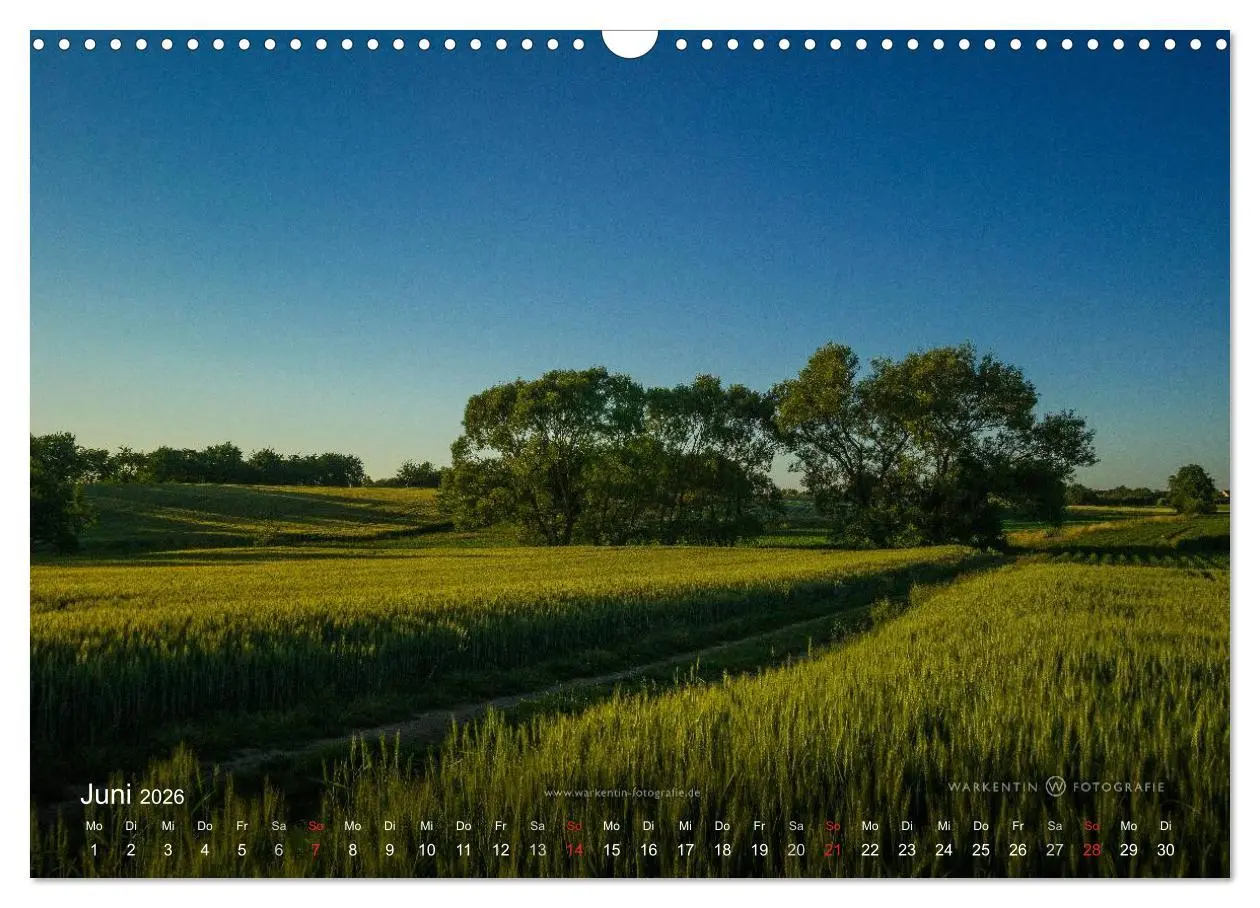 Bild: 9783516065886 | Romantisches Renchtal (Wandkalender 2026 DIN A3 quer), CALVENDO...