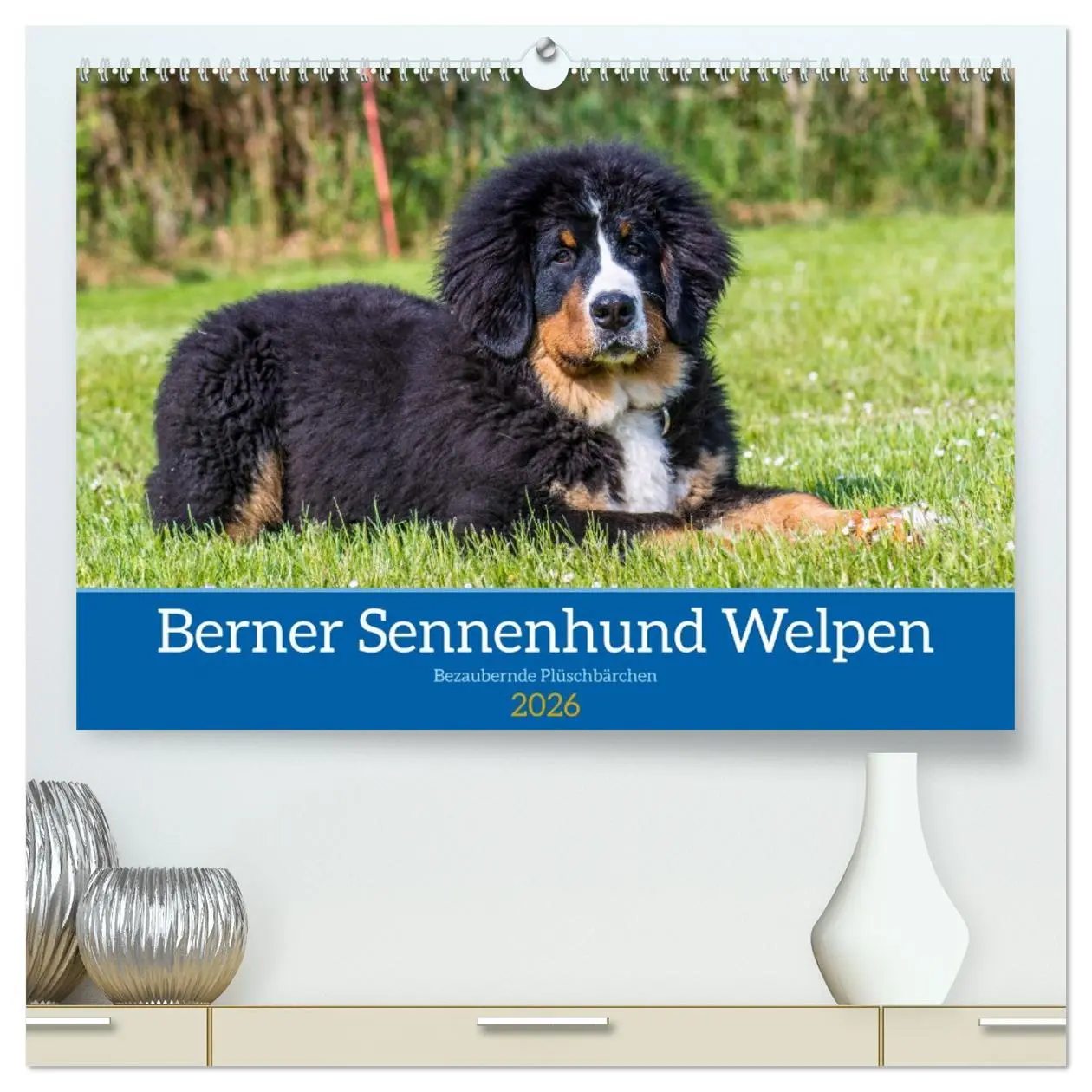 Cover: 9783457415986 | Berner Sennenhund Welpen - Bezaubernde Plüschbärchen (hochwertiger...