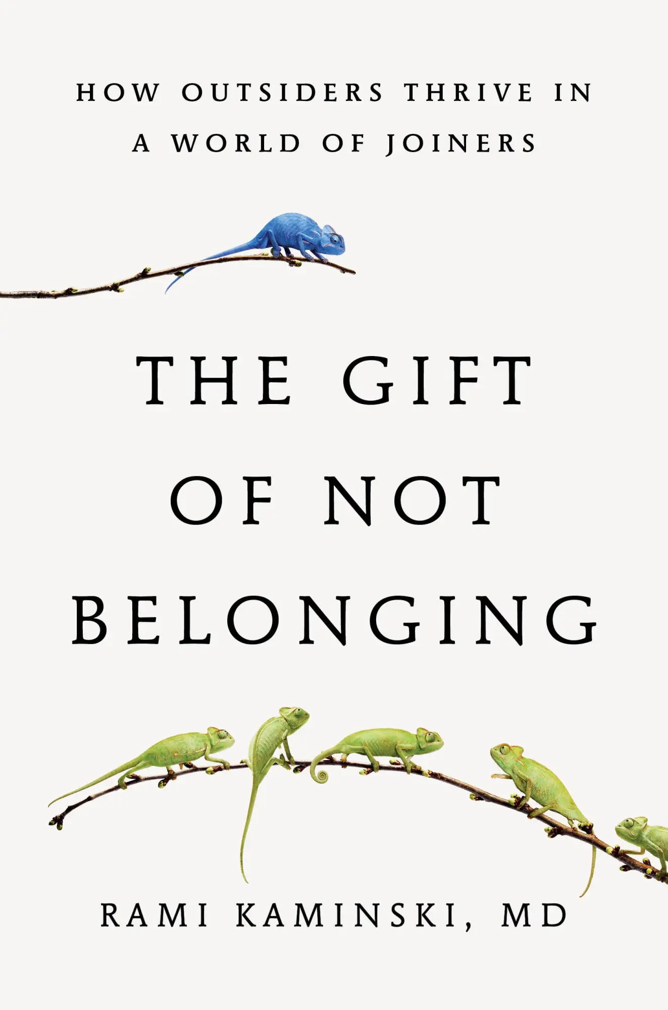 Cover: 9780316576086 | The Gift of Not Belonging | How Outsiders Thrive in a World of Joiners