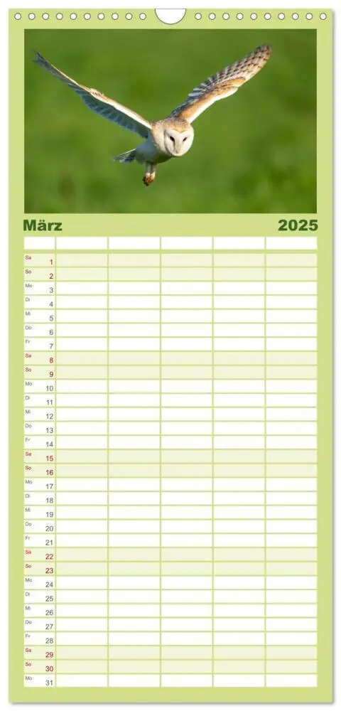 Bild: 9783457096086 | Familienplaner 2025 - Eulen - Wachsame und geheimnisvolle Augen mit...