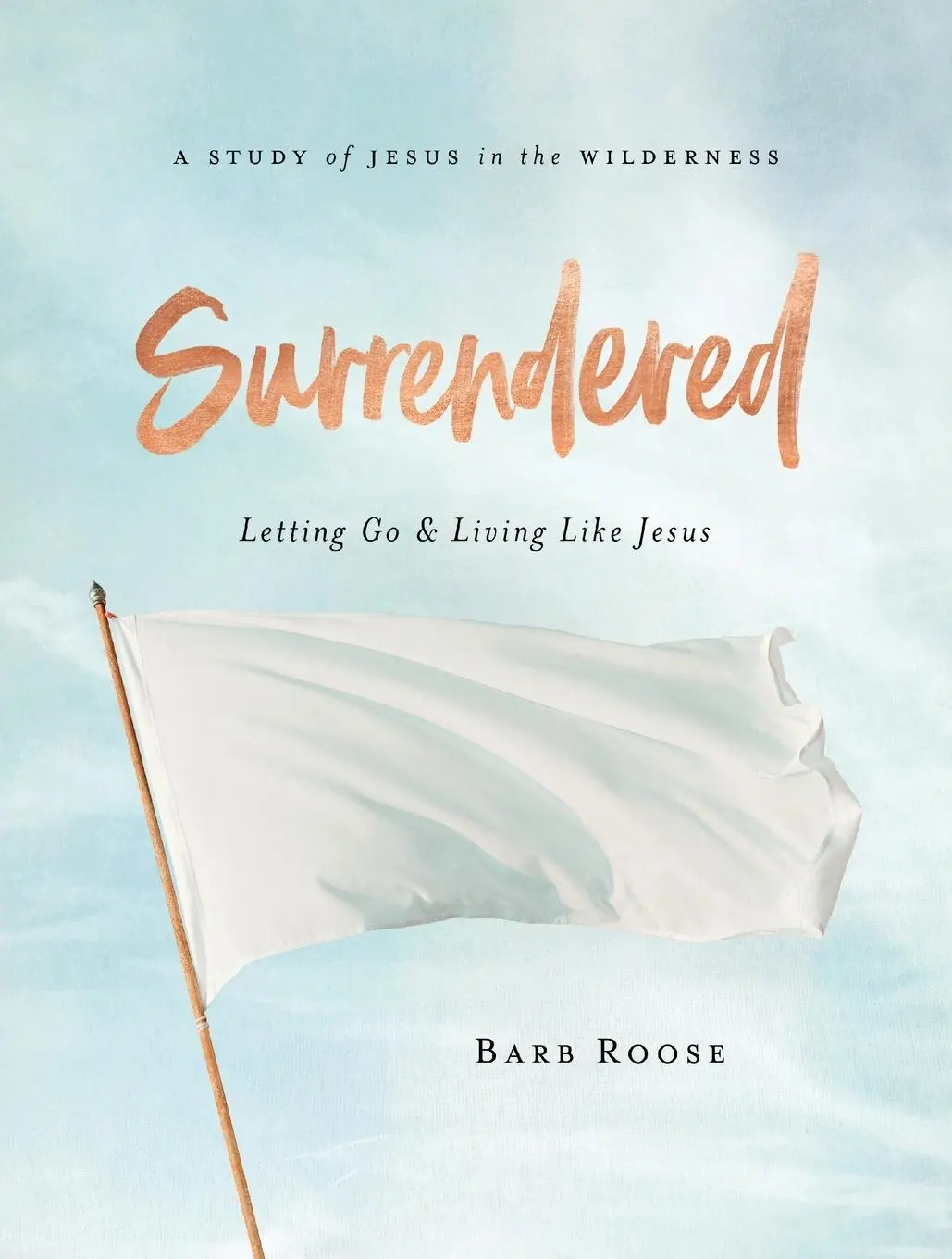 Cover: 9781501896286 | Surrendered - Women's Bible Study Participant Workbook | Barb Roose