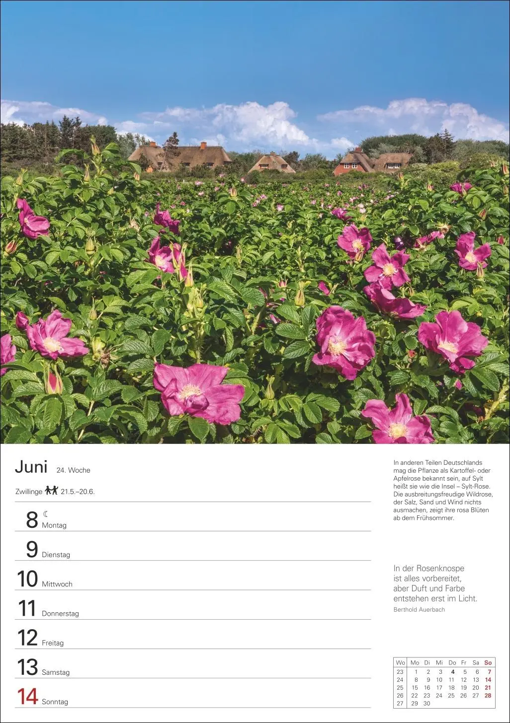 Bild: 9783840036286 | Sylt Wochenplaner 2026 - Eine Reise in 53 Bildern | Ulrike Issel Bild: 9783840036286 | Sylt Wochenplaner 2026 - Eine Reise in 53 Bildern | Ulrike Issel