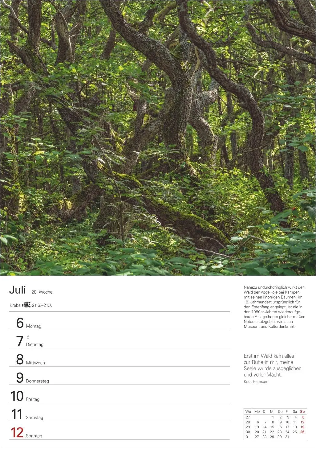 Bild: 9783840036286 | Sylt Wochenplaner 2026 - Eine Reise in 53 Bildern | Ulrike Issel Bild: 9783840036286 | Sylt Wochenplaner 2026 - Eine Reise in 53 Bildern | Ulrike Issel