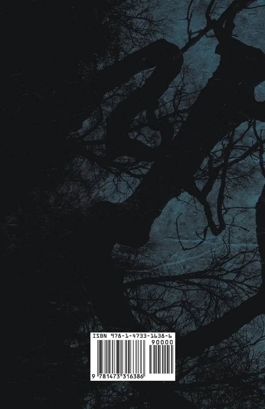 Rückseite: 9781473316386 | The Room in the Tower | E. F. Benson | Taschenbuch | Englisch | 2014