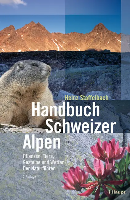 Cover: 9783258076386 | Handbuch Schweizer Alpen | Heinz Staffelbach | Taschenbuch | 656 S.