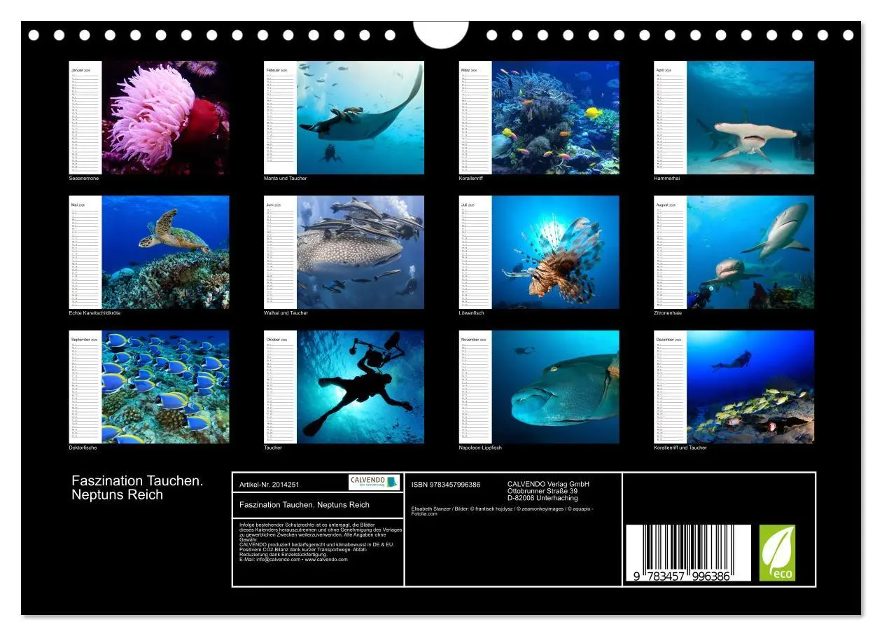 Bild: 9783457996386 | Faszination Tauchen. Neptuns Reich (Wandkalender 2026 DIN A4 quer),...