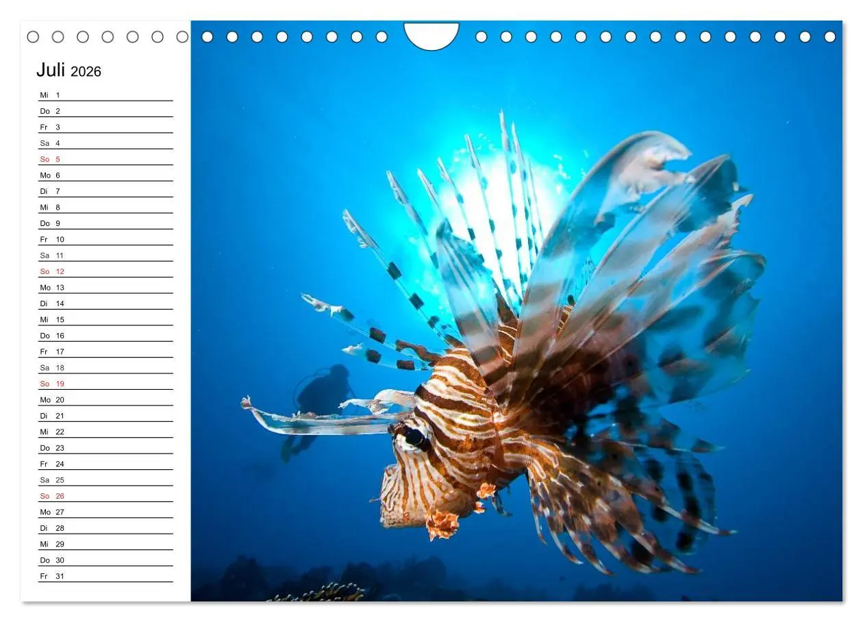 Bild: 9783457996386 | Faszination Tauchen. Neptuns Reich (Wandkalender 2026 DIN A4 quer),...