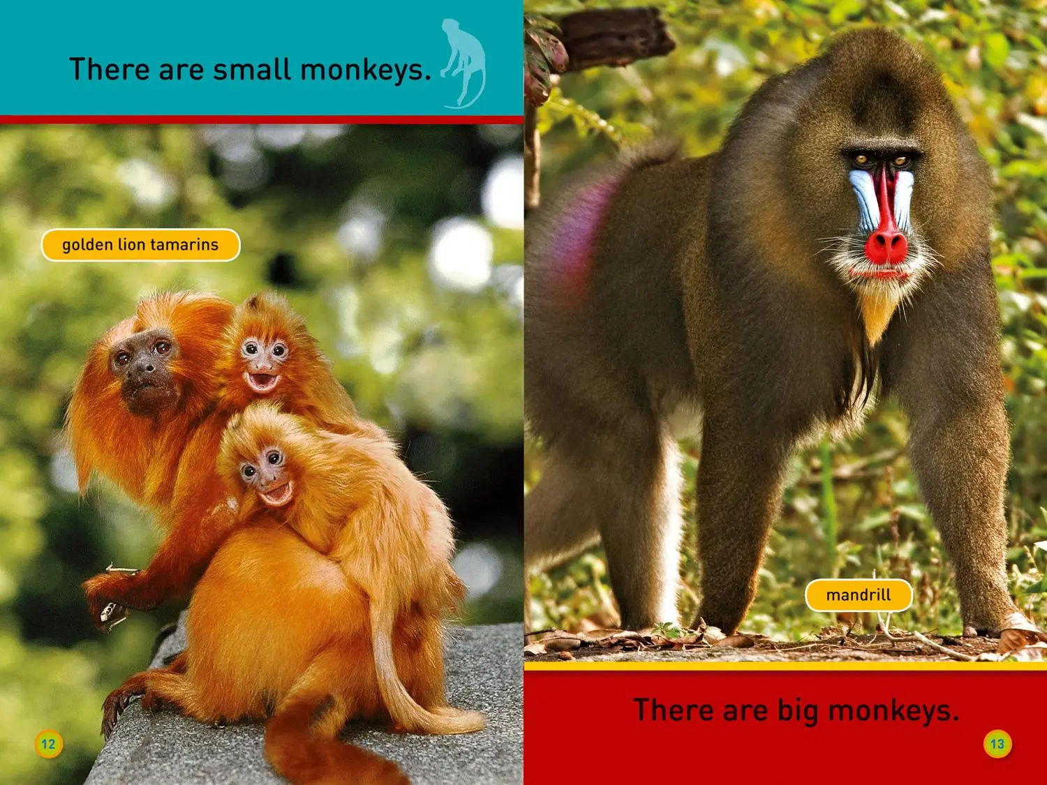 Bild: 9780008266486 | Hang On, Monkey! | Level 1 | National Geographic Kids (u. a.) | Buch