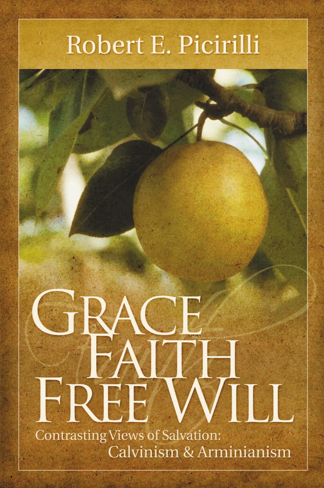Cover: 9780892656486 | Grace, Faith, Free Will | Robert E. Picirilli | Taschenbuch | Englisch