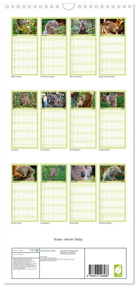 Bild: 9783457126486 | Familienplaner 2025 - Koala - kleiner Teddy mit 5 Spalten...
