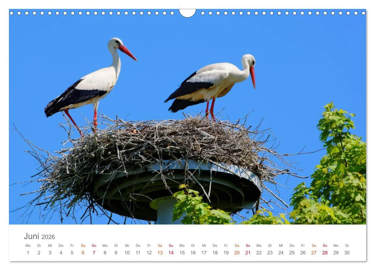 Bild: 9783457816486 | Unterwegs im Heidekreis (Wandkalender 2026 DIN A3 quer), CALVENDO...