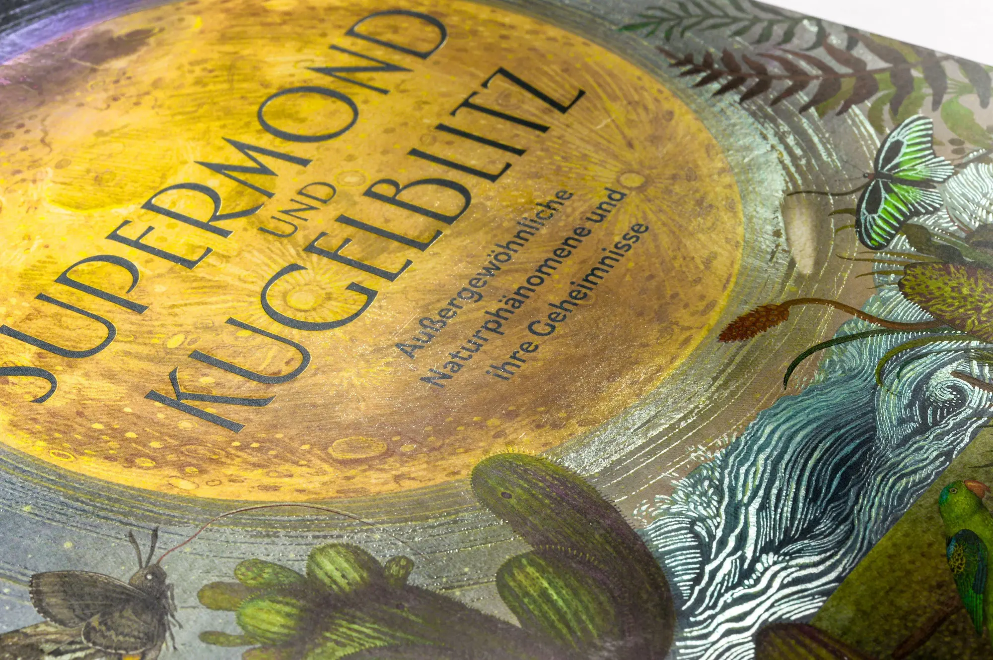 Bild: 9783791376486 | Supermond und Kugelblitz | Emily Hawkins (u. a.) | Buch | 80 S. | 2026
