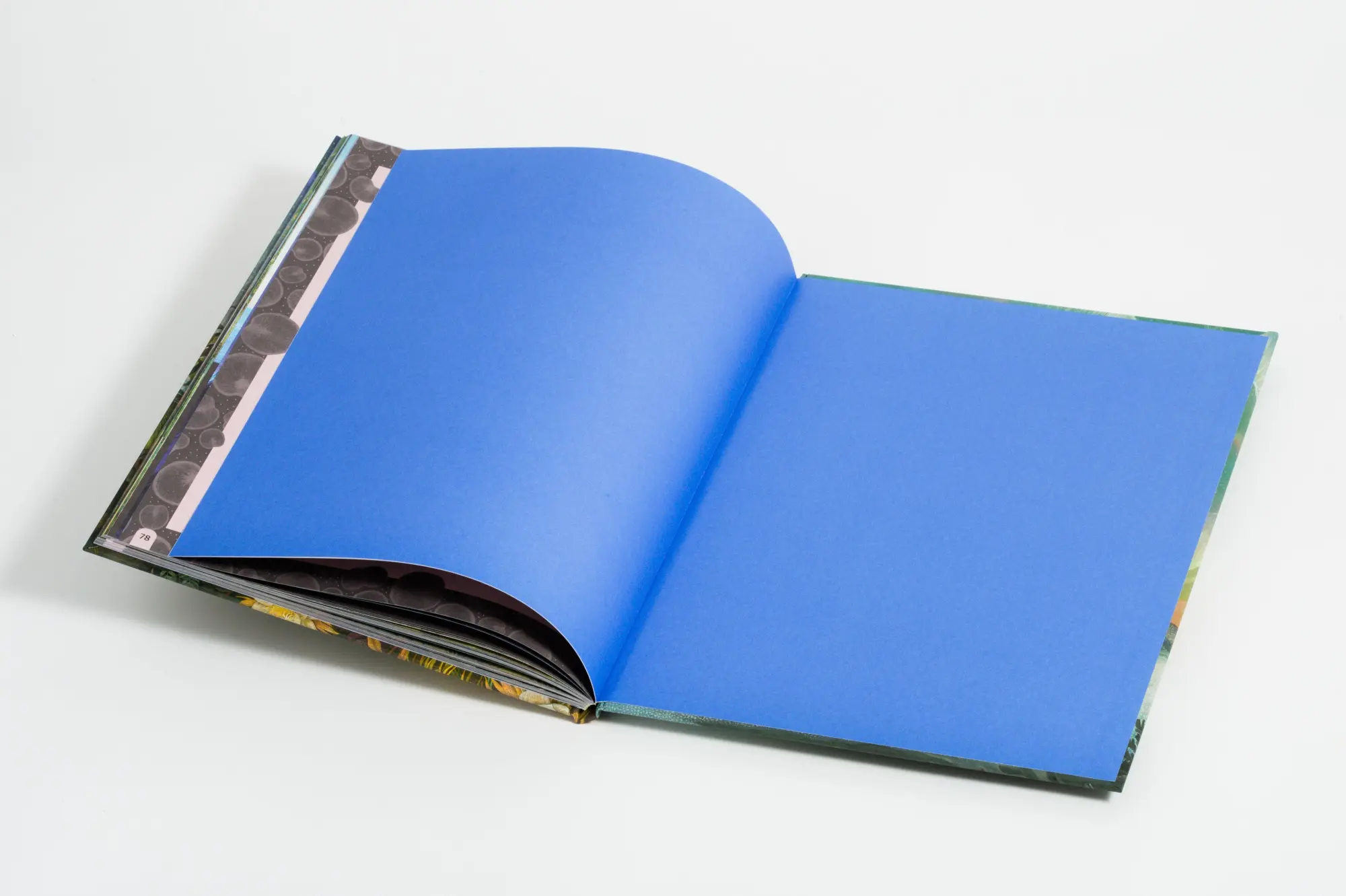 Bild: 9783791376486 | Supermond und Kugelblitz | Emily Hawkins (u. a.) | Buch | 80 S. | 2026