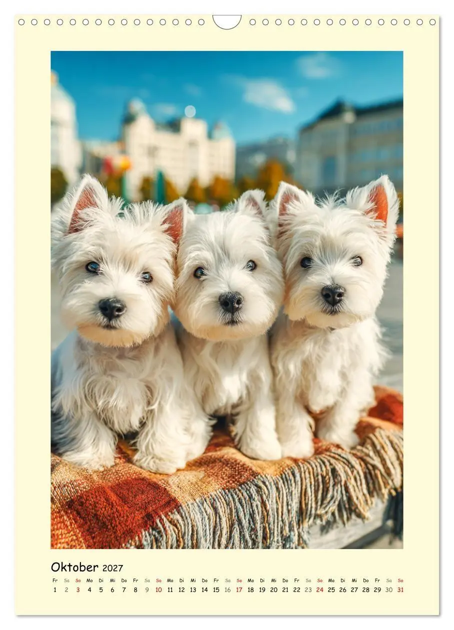 Bild: 9783516756586 | Süßer Wuschelkopf. West Highland White Terrier Momente...