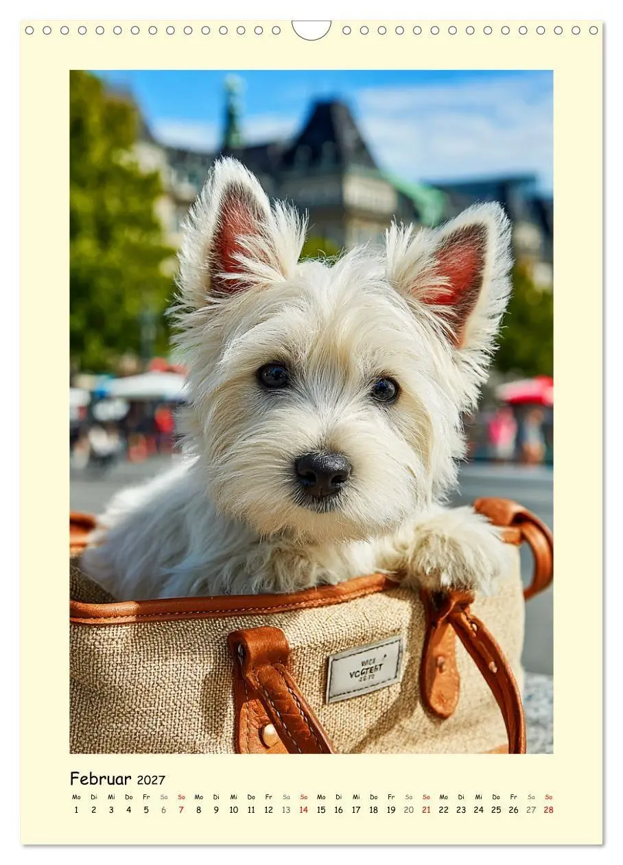 Bild: 9783516756586 | Süßer Wuschelkopf. West Highland White Terrier Momente...