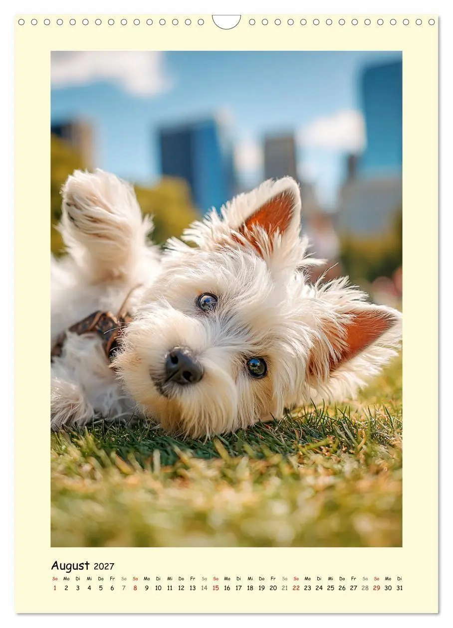 Bild: 9783516756586 | Süßer Wuschelkopf. West Highland White Terrier Momente...