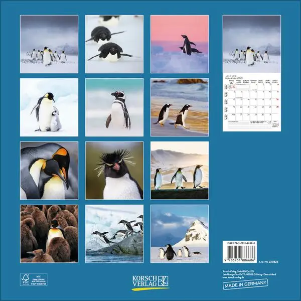 Bild: 9783731886686 | Pinguine 2026 | Verlag Korsch | Kalender | 13 S. | Deutsch | 2026