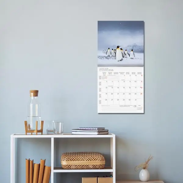 Bild: 9783731886686 | Pinguine 2026 | Verlag Korsch | Kalender | 13 S. | Deutsch | 2026