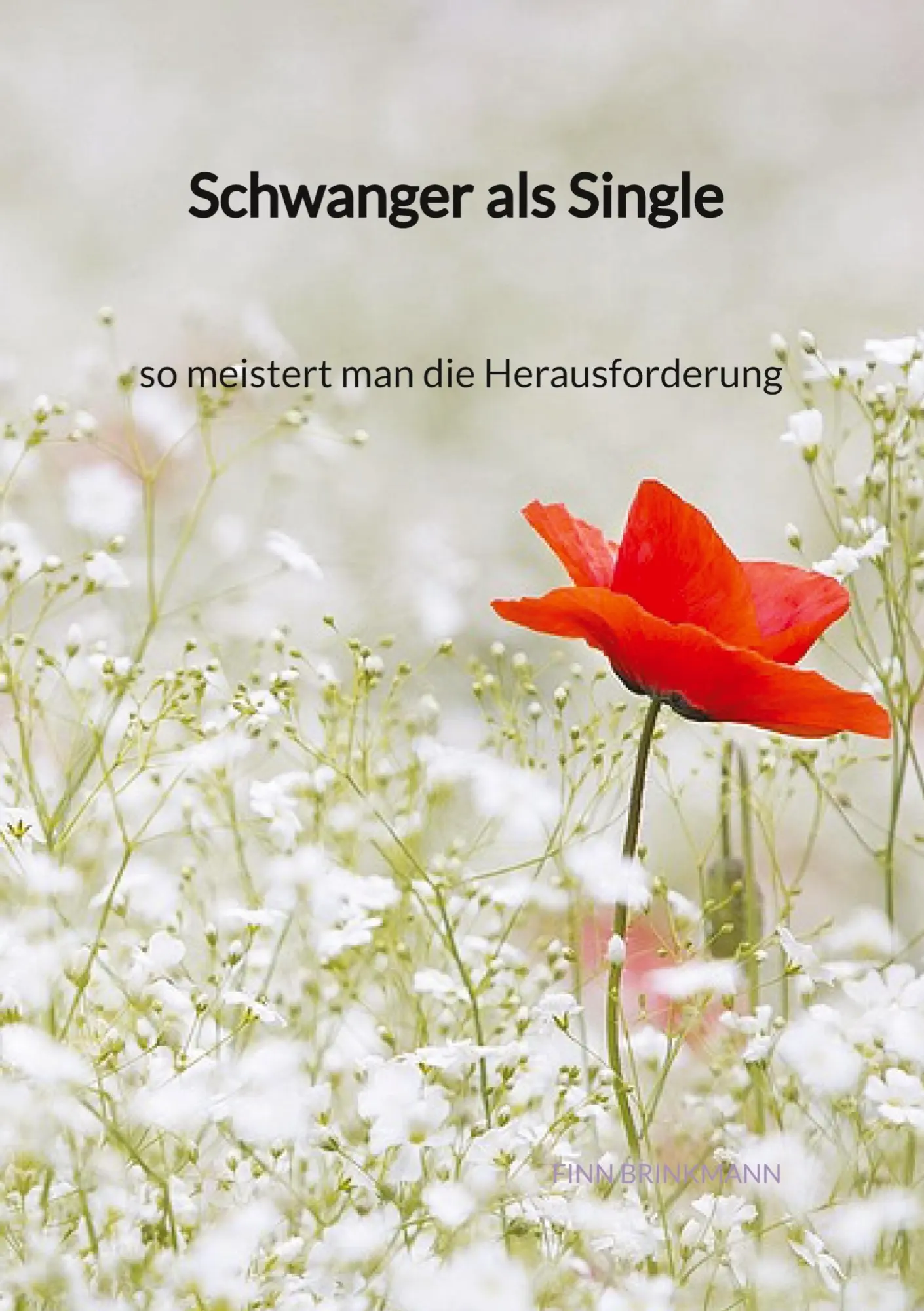 Cover: 9783347996786 | Schwanger als Single - so meistert man die Herausforderung | Brinkmann