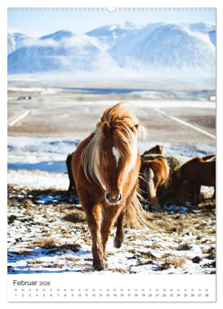 Bild: 9783516356786 | Ein Roadtrip durch Island (hochwertiger Premium Wandkalender 2026...