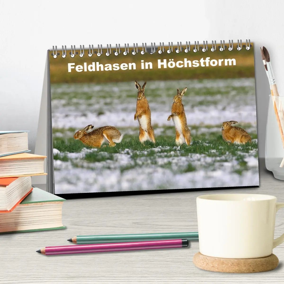 Bild: 9783457566886 | Feldhasen in Höchstform (Tischkalender 2026 DIN A5 quer), CALVENDO...
