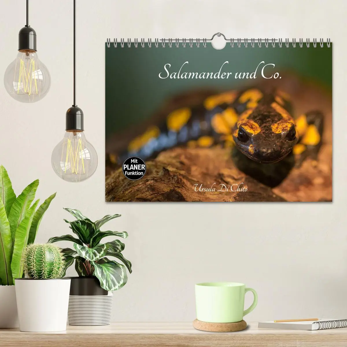 Bild: 9783457946886 | Salamander und Co. (Wandkalender 2026 DIN A4 quer), CALVENDO...